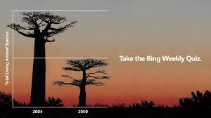 It's friday, which means it's time to test your knowledge of the week's news events. Microsoft Bing On Twitter By 2050 Half Of All Creatures Alive Could Be Extinct Take The Bingsearchtrends Quiz To See How This Fits Into This Past Week S News Https T Co Gz09zemzxf Https T Co Aopbyaftng