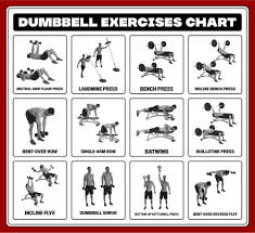 dumbbell exercises chart printable