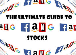 Fang Stocks 36 Fundamentals Compared Which One Is Best