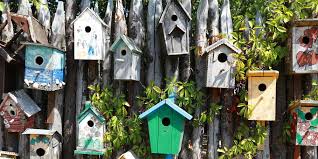 nichoir oiseau en bois pas cher à poser