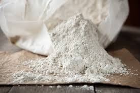 use diatomaceous earth as an insecticide