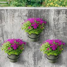 Flower Pot Holder Ring Wall Mounted 8
