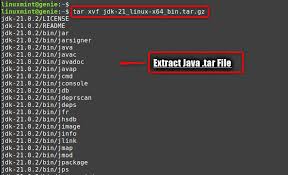 how to install java on linux mint 21
