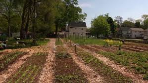 in grand rapids turns vacant lots into