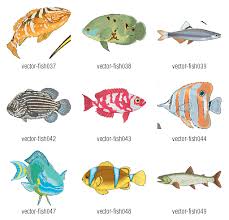 All Types Of Koi Fish Koi Chart Tattoos Pinterest Koi Fish