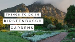 kirstenbosch gardens cape town is awesome