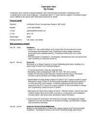        Cv In English Generator     Project Manager Cv Template     Resume Pdf Download