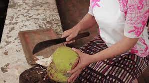 The juice from a coconut is very hydrating and. Top 30 Coconut Water Gifs Find The Best Gif On Gfycat