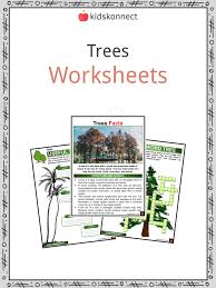 Trees Facts Worksheets And Examples