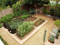 Veg Plot Garden Layout Vegetable