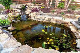 bring your old pond back to life