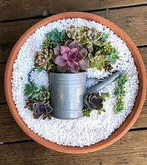 artistic succulent dish garden