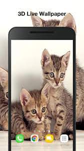Cute Kittens Live Wallpaper for Android ...