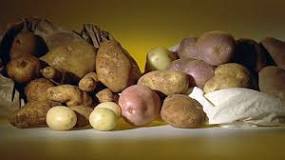 What are new potatoes called in Australia?