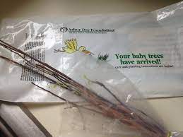 Free trees from the Arbor Day ...