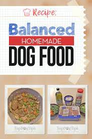 balanced homemade dog food recipe