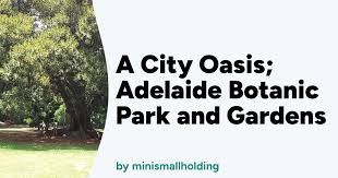 a city oasis adelaide botanic park and