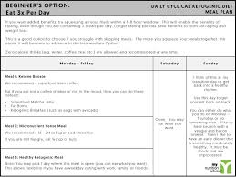 Daily Cyclical Ketogenic Diet Keto Diet Plan Overview Guide