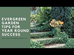 How To Use Evergreens For A Garden That