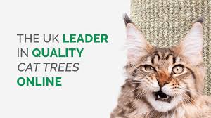 I made a cat tree… from an actual tree from diy. Cat Tree Uk The Uk S Largest Retailer Of Cat Trees Scratching Posts