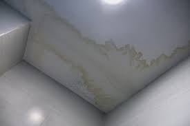 Mold On Bathroom Ceiling Wipe Out With
