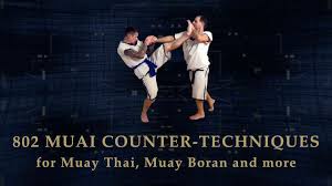 techniques for muay thai muay boran