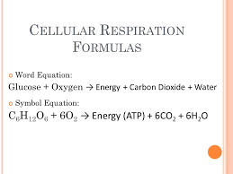 The reactants for photosynthesis are light energy, water, carbon dioxide and chlorophyll, while the products are glucose (sugar), . Cellular Respiration Overview Ppt Video Online Download