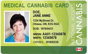Dhss would like to remind the public that any physician certifications they receive for medical marijuana must be no more than thirty days old at the time an individual applies for a patient identification card, and dhss will not begin accepting patient identification card applications until july 4, 2019. How To Get A Medical Marijuana Card In Canada Cannabismo