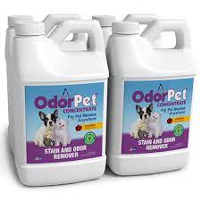 odorpet concentrate stain and pet odor