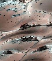 Imágenes de la NASA muestran supuestos "árboles" en Marte - Cooperativa.cl