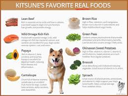 Where to find vitamin e supplements for dogs. 21 Actionable Ways To Extend Your Shiba Inus Life My First Shiba Inu