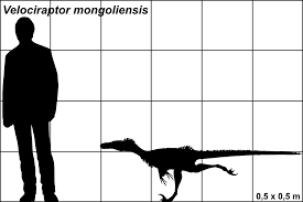 Afbeeldingsresultaat voor velociraptor