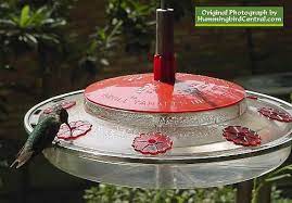 hummingbird feeders glass feeders