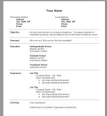 Examples Of Resumes   Cv Formats Curriculum Vitae Format    