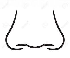 Drawing a cartoon nose can be an interesting challenge if you want to illustrate this part of the body accurately. Pin On Drawings