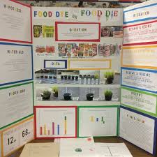 Science Fair Project The Effect Of Food Dye On Living No