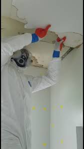 Mold Removal In New York Ny Dry Ease