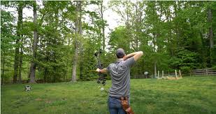 I wanted the range to track how close you were to the bullseye in a way which was relatively easy to see and also able to relatively quickly clear. Is It Safe To Shoot In My Yard