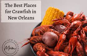 crawfish in the new orleans
