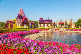 dubai city tour with miracle garden