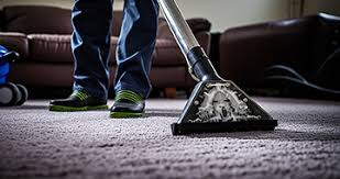 carpet cleaning in bi auckland
