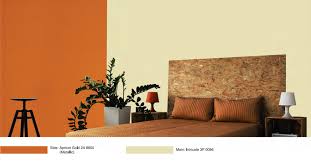 Best Paint For Interior Walls