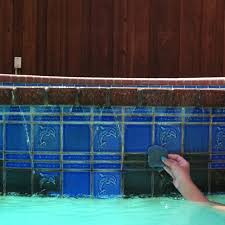 To have a safe pool, you need to know how to remove calcium from pool tile. Pin By Chris Ferrell On Cleaning Pool Cleaning Swimming Pool Tiles Pool Tile