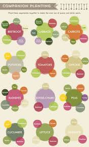 collection of companion planting charts