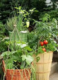 19 Vegetable Container Garden Ideas