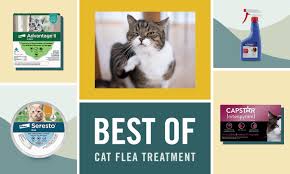 best flea treatments for cats