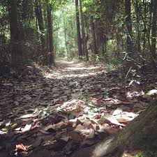 • natural trail conditions may present challenges for other than foot traffic. Martin Dies Jr State Park Park Activities Texas Parks Wildlife Department