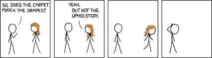 xkcd s comic 508 oh my what
