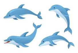 dolphin vector art icons and graphics