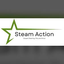 steam action carpet cleaning